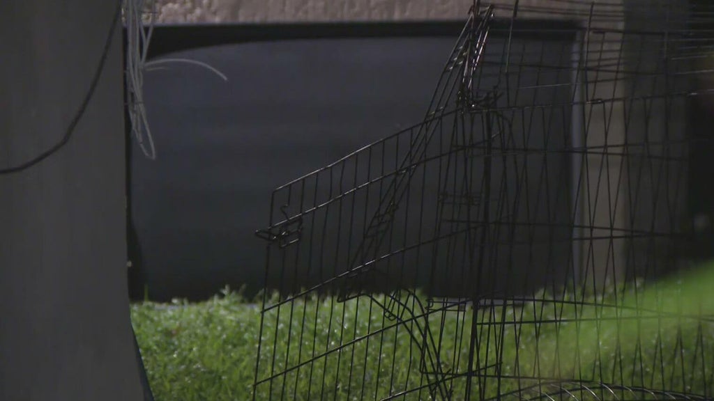 911 call captures frantic report of dog chasing, biting children in Miami — CBS Miami, Amarillo Health news
