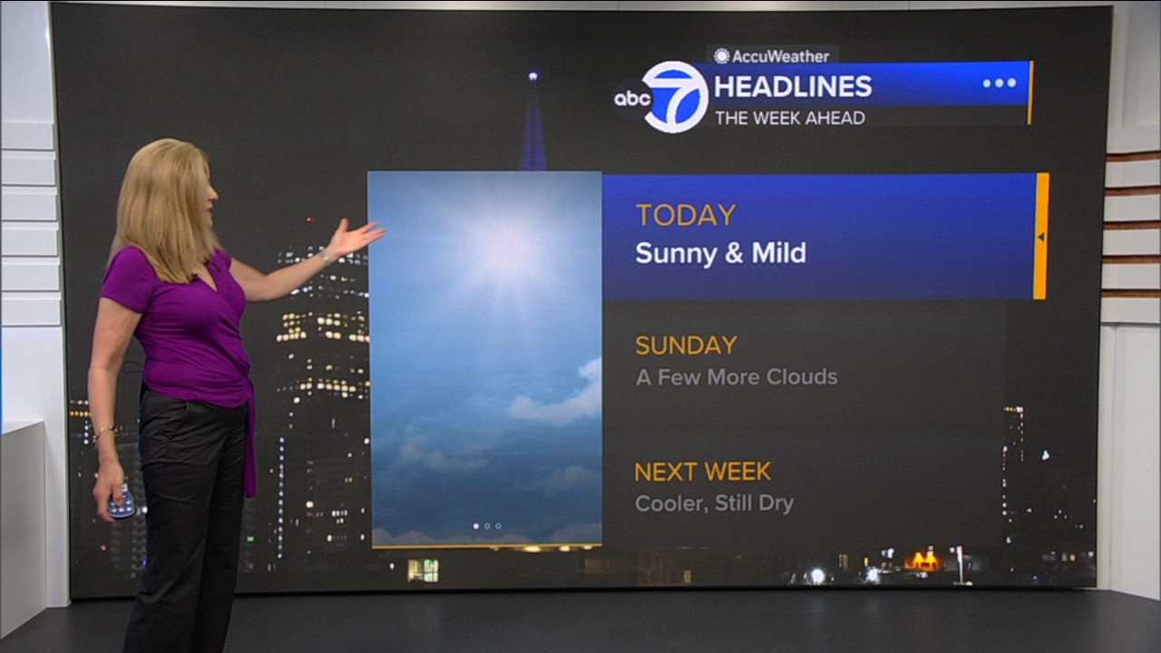 AccuWeather Forecast: Sunny and mild
       — ABC 7 Bay Area, Amarillo Community news