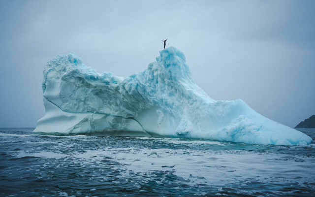 Cliff diver Molly Carson makes history, becomes first woman to dive off iceberg — WPBF Sports Palm Beach, Amarillo Sports news